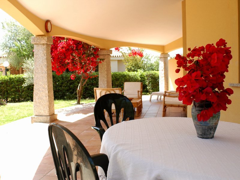 Terrasse Terrasse