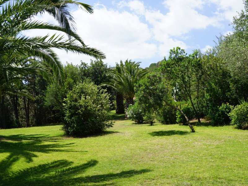 Garten Garten