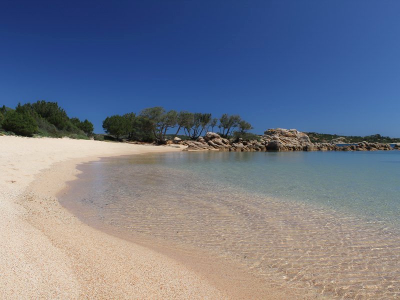 Strand Cala di Volpe, nur 16 km. entfernt Strand Cala di Volpe, nur 16 km. entfernt