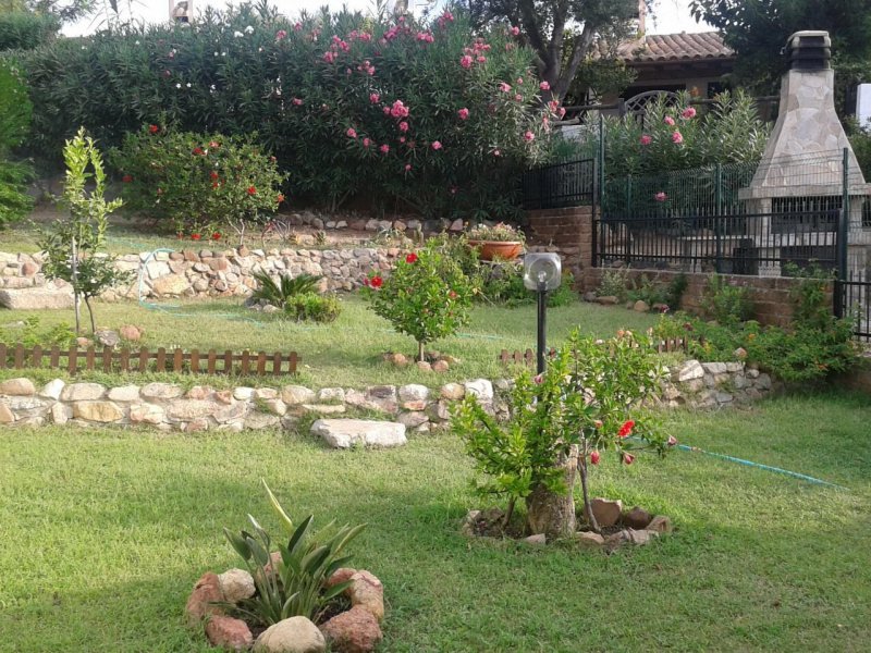 Garten hinter dem Haus Garten hinter dem Haus