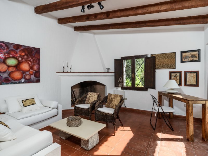 Wohnzimmer mit Sofa und Kamin Wohnzimmer mit Sofa und Kamin