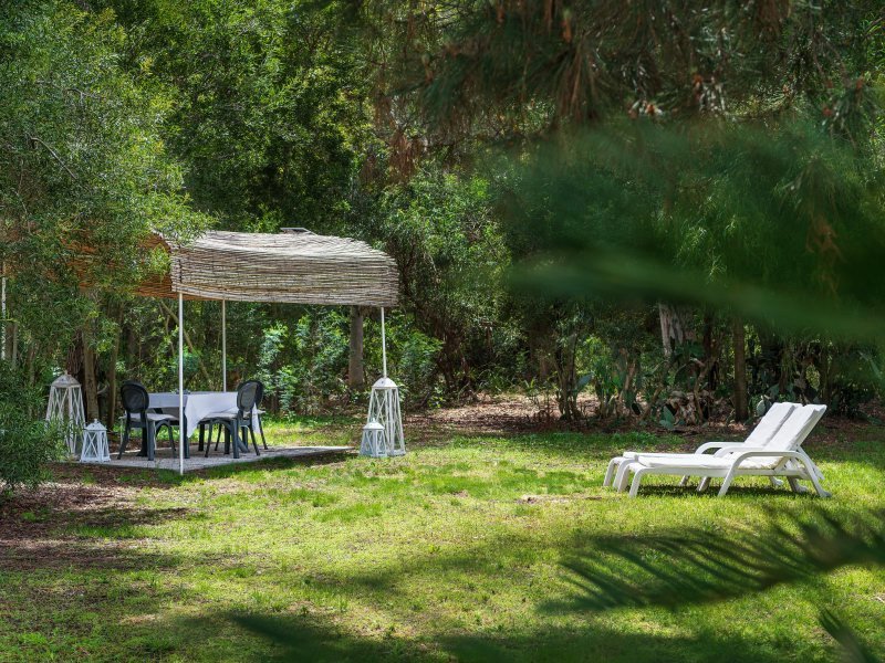 Garten mit Gazebo und Sonnenliegen Garten mit Gazebo und Sonnenliegen