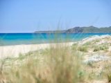 Beach of Torresalinas