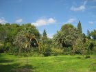 Giardino della villa
