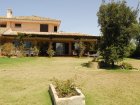 House and garden