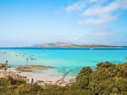 Kristallklares Meer am Strand von La Pelosa Stintino Kristallklares Meer am Strand von La Pelosa Stintino