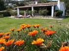 Villa Bua - Villa Bua