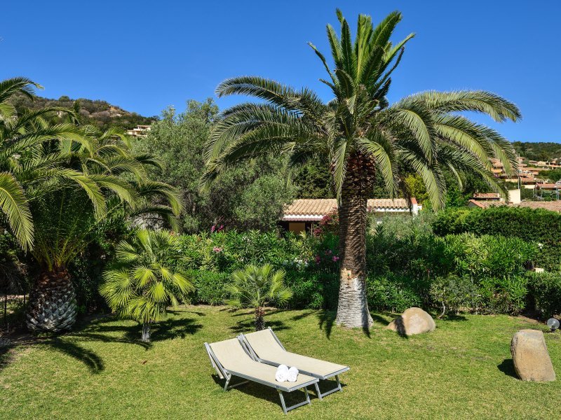 Uneinsehbarer Garten mit Palmen und Sonnenliegen