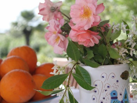 Blumen und Sträucher umranken die Terrasse