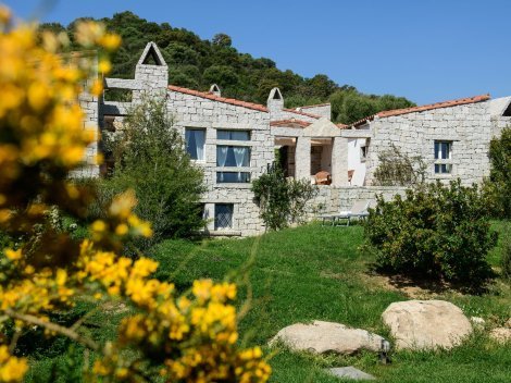 Blick auf den Garten mit Haus