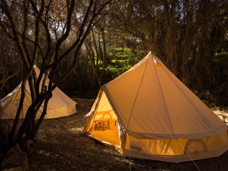 Zelt Nr. 3, 4 und 5 - Abendstimmung