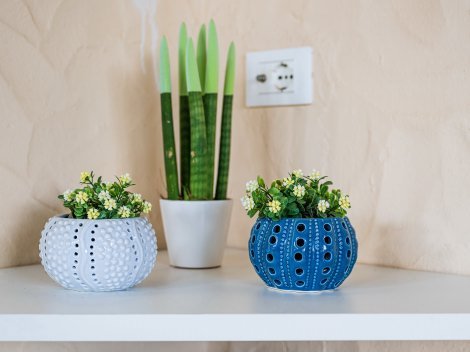 Liebevolle Details bei der Einrichtung